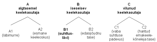 B1_5